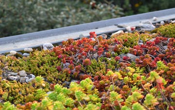 the cost of Low Moorsley green roof installation