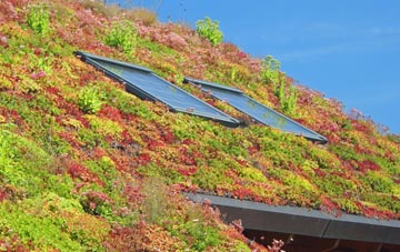 Low Moorsley living roof systems