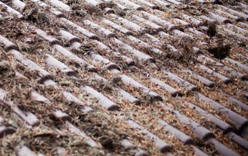 Low Moorsley roof cleaning companies